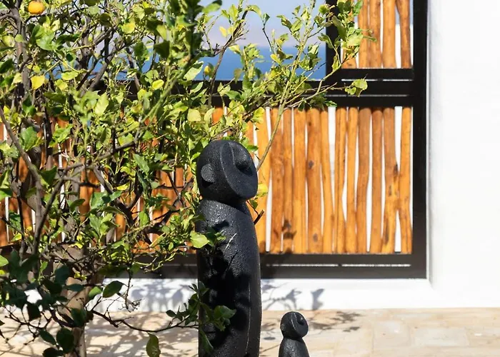 Myconian Platinum Senior & Deluxe Willa